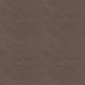 Fine Grain Leather