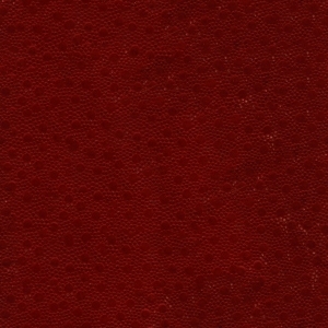 Rough Grain Leather