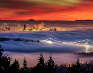 夜景贴图-ID:4036534