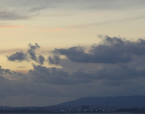 黎明天空-ID:837494666