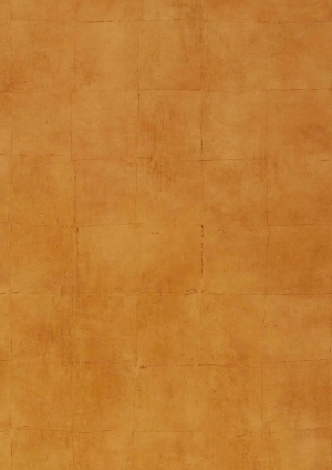 细纹皮革-ID:4036942
