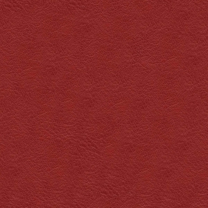 Fine Grain Leather