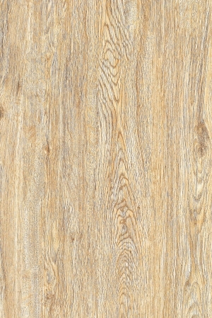 Wood Texture