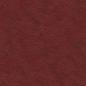 Rough Grain Leather