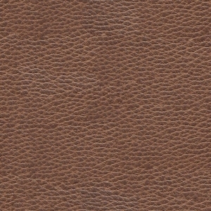 Rough Grain Leather