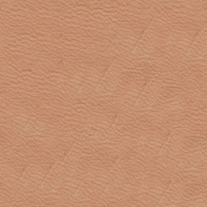 Rough Grain Leather