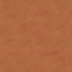 Rough Grain Leather