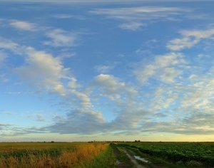 全景天空-黄昏-ID:4037677