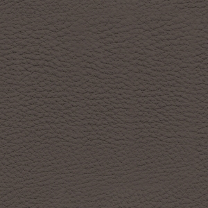 Fine Grain Leather