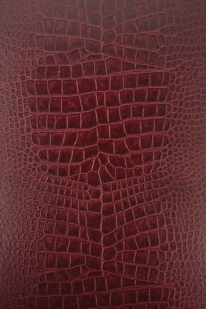 Rough Grain Leather