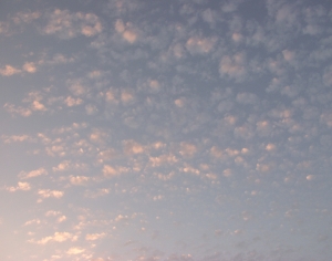 黎明天空-ID:769891665