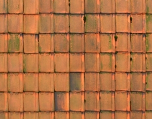 Roof Tiles