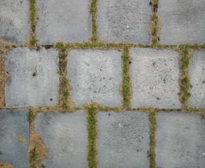 Pavement