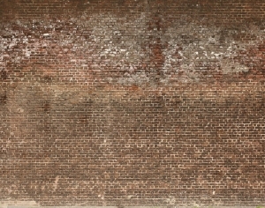 Stone Brick Wall