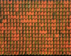 Roof Tiles