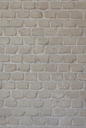 Stone Brick Wall