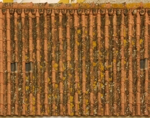 Roof Tiles