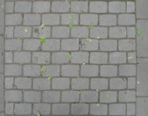 Pavement