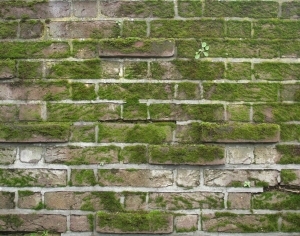 Stone Brick Wall