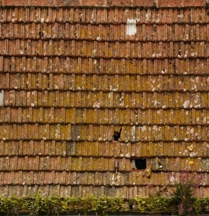 Roof Tiles