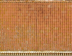 Roof Tiles