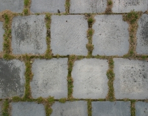 Pavement