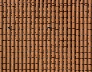 Roof Tiles