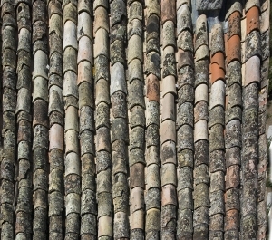 Roof Tiles