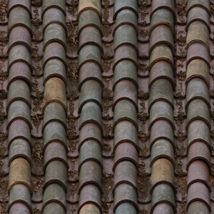 Roof Tiles