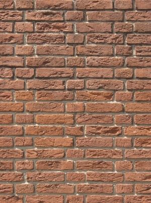 Stone Brick Wall