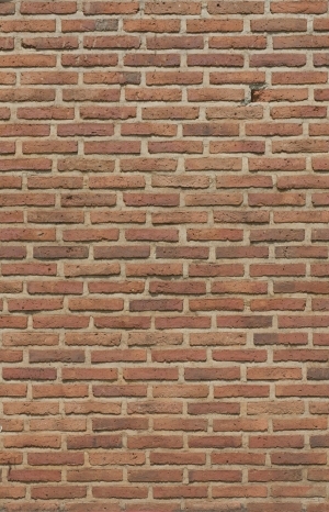 Stone Brick Wall