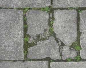 户外石材地面砖-ID:4039599