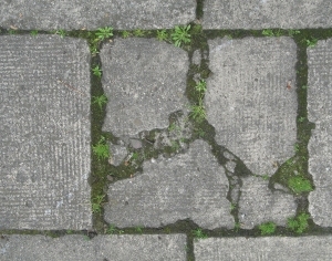 Pavement