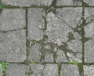 Pavement