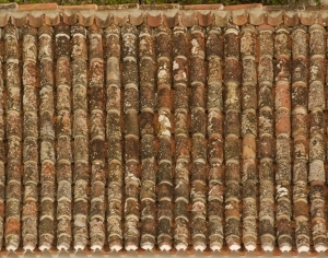 Roof Tiles