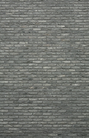 Stone Brick Wall