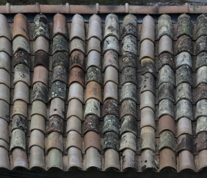 Roof Tiles