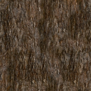 Bark Texture