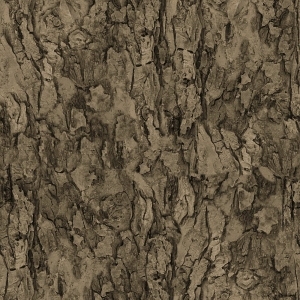 Bark Texture