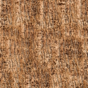 Bark Texture