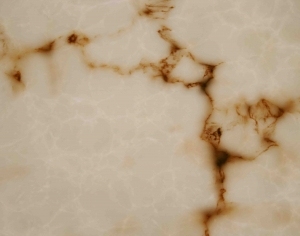 Onyx Marble