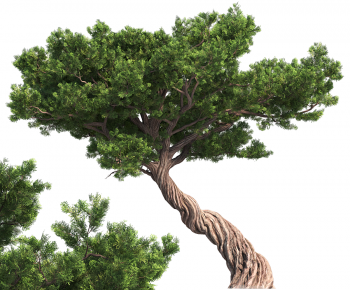 Modern Tree-ID:832155941