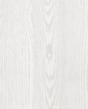 ModernWood Texture