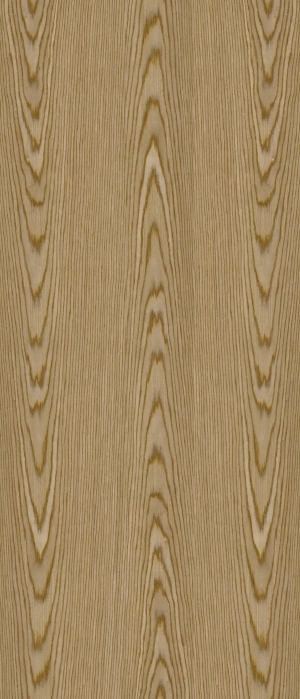 ModernWood Texture