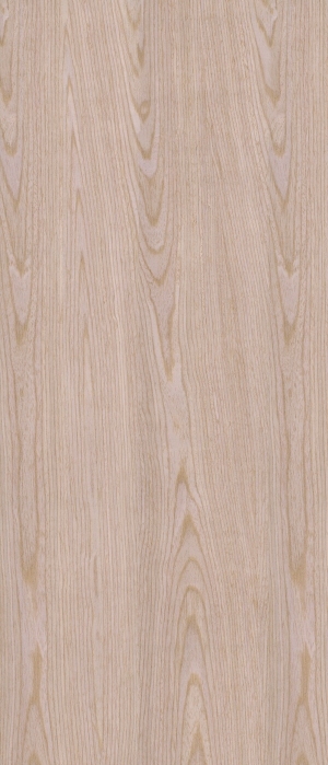 ModernWood Texture