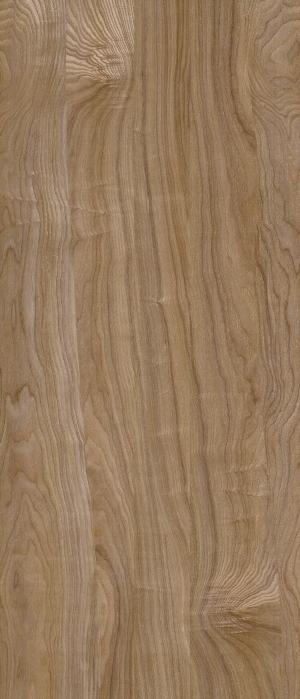 ModernWood Texture