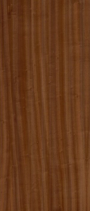 ModernWood Texture