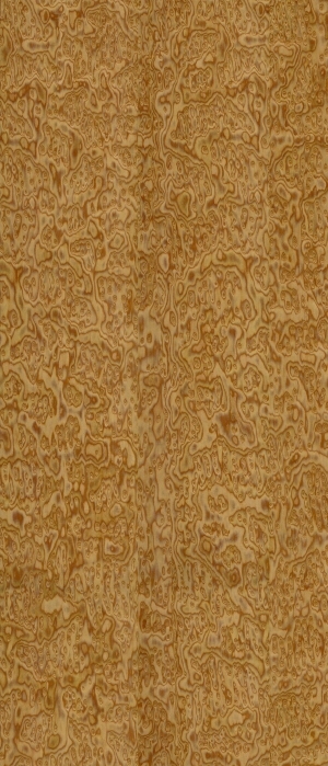 ModernWood Texture