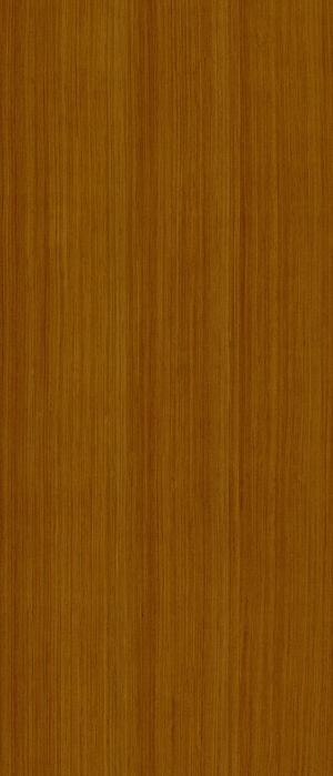 ModernWood Texture