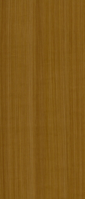 ModernWood Texture